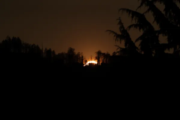 The last light of the sun glows intensely through a dark treeline silhouette at dusk.
