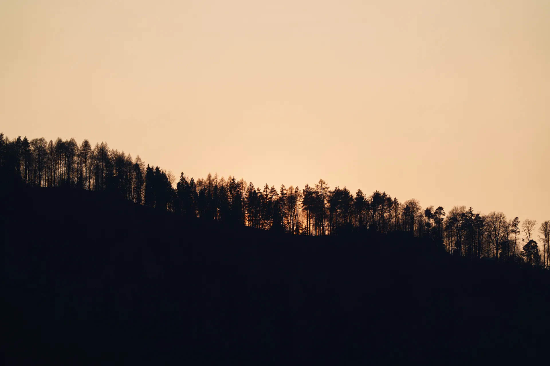 A forested hillside silhouette rises against a warm golden sky after sunset.