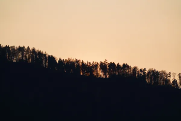 A forested hillside silhouette rises against a warm golden sky after sunset.