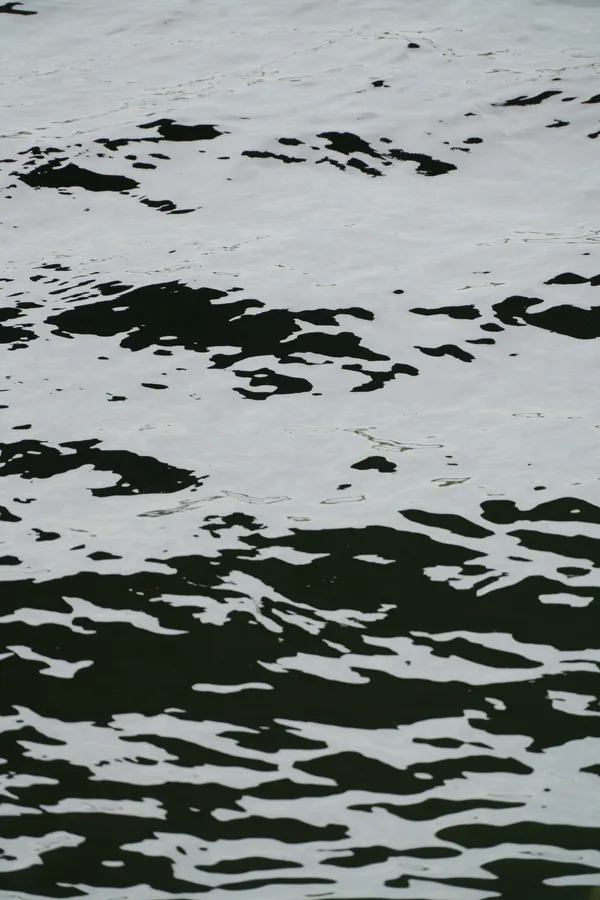 Dark water and scattered foam form abstract, map-like shapes across a rippled surface.
