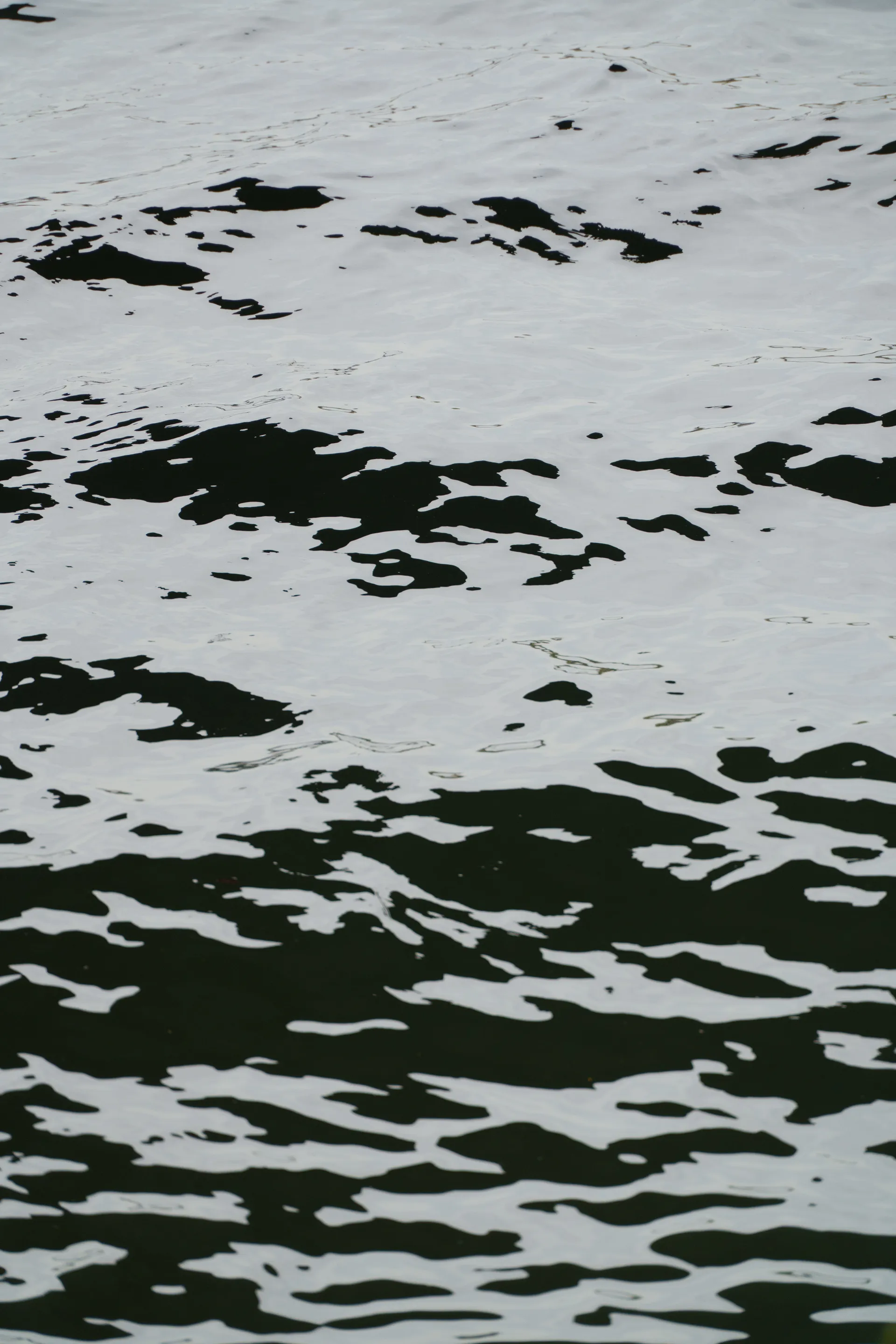 Dark water and scattered foam form abstract, map-like shapes across a rippled surface.