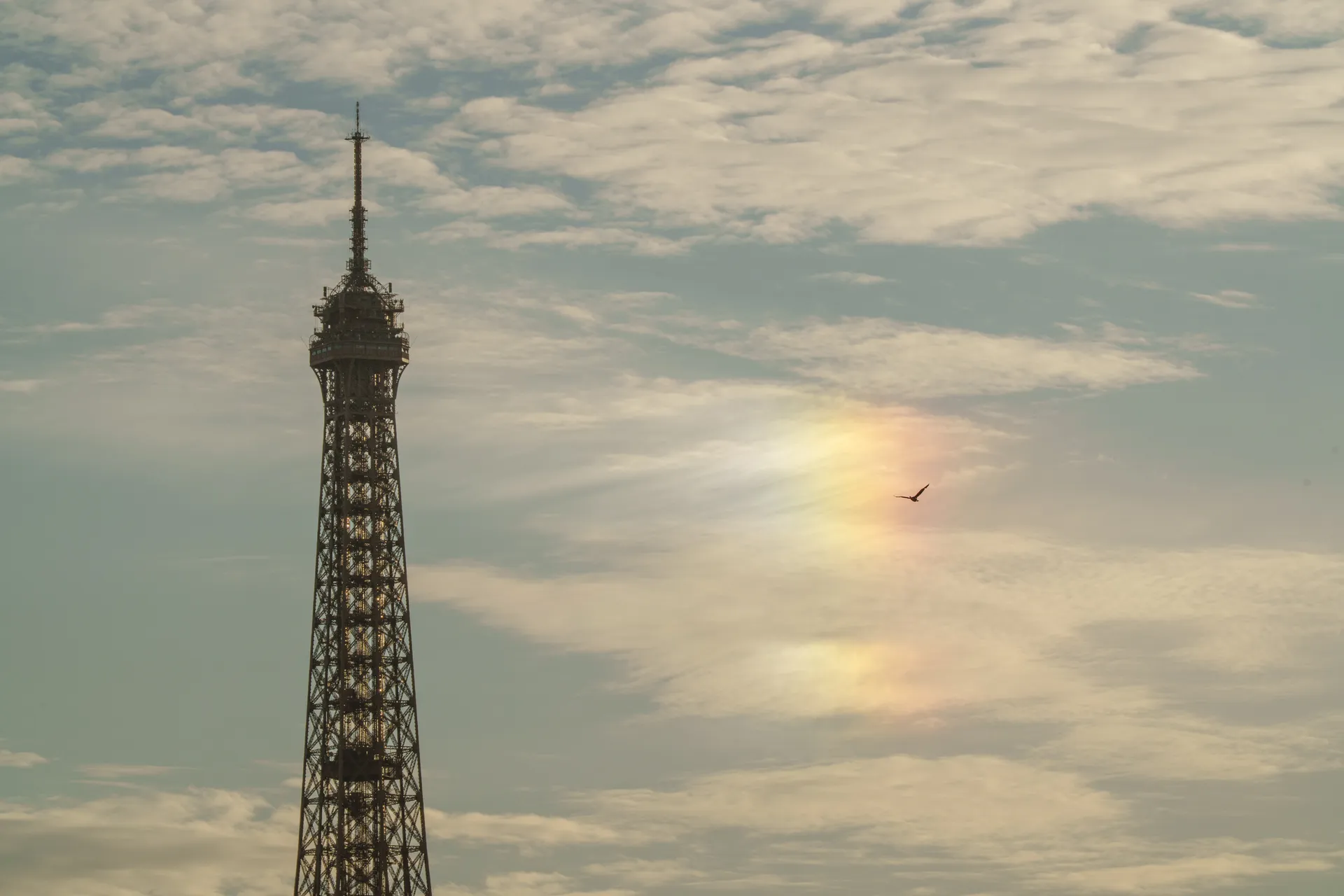 The top of the Eiffel Tower rises against a wispy sky where a patch of cloud iridescence shimmers in pastel pinks and greens beside a bird in flight.