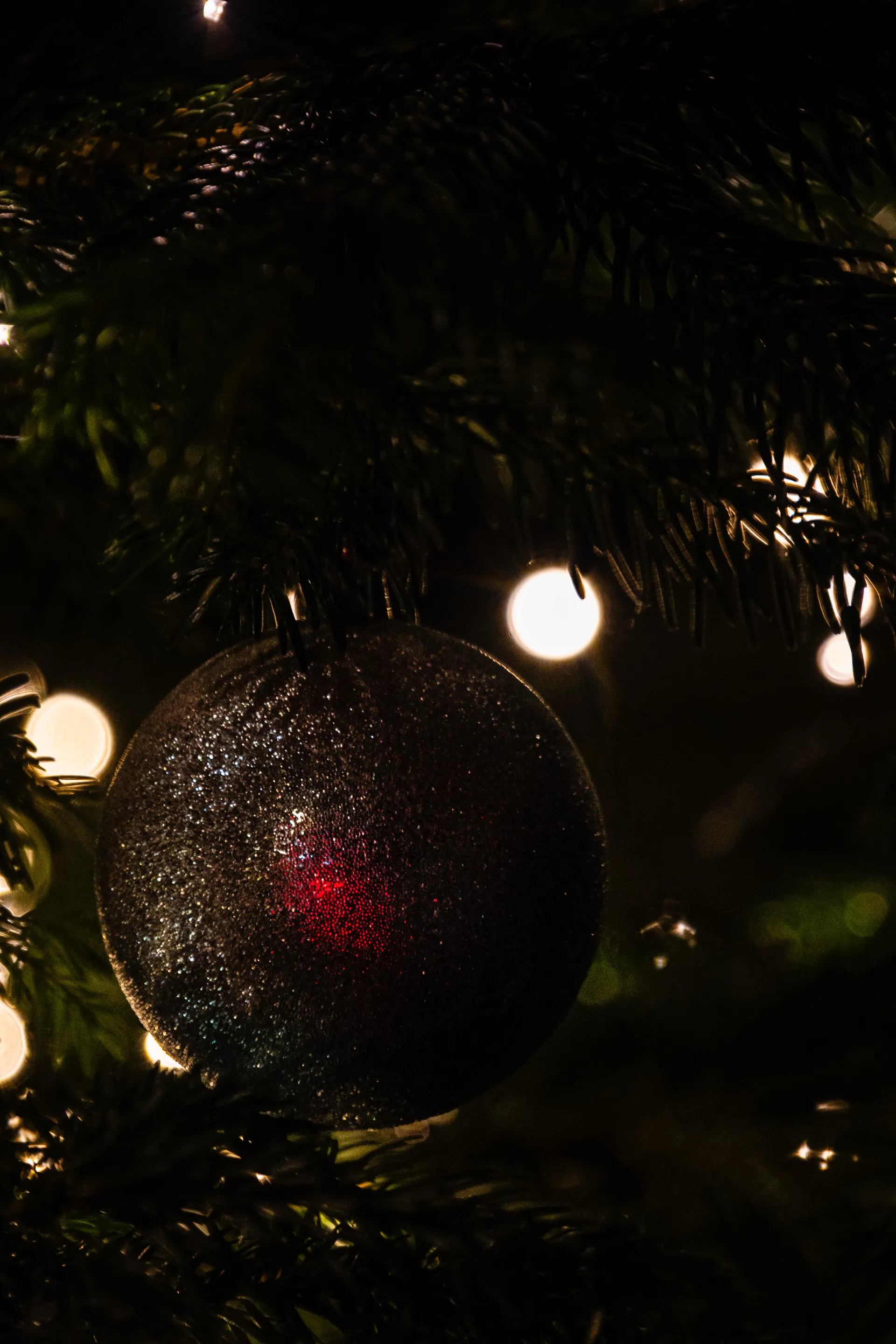 A glittering ornament catches the warm glow of Christmas lights nestled among evergreen branches.