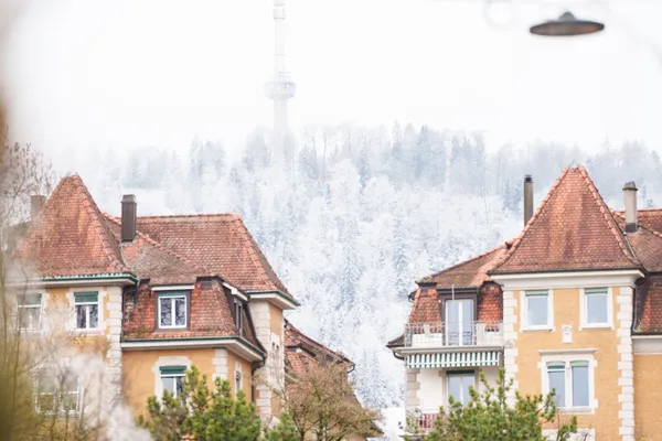 The Uetliberg tower rises above snow-dusted trees, framed between traditional Zurich rooftops on a frosty spring day.