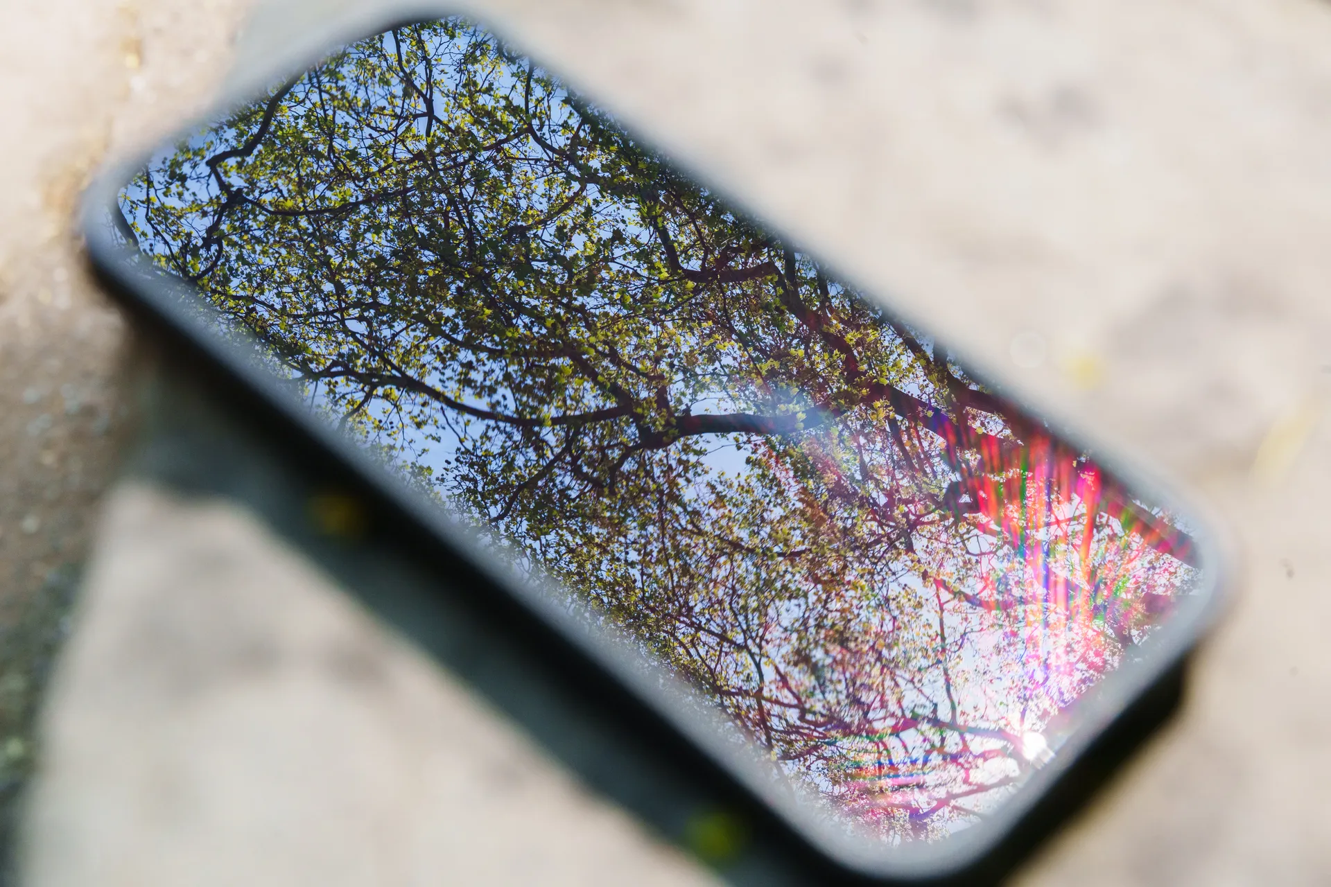 A smartphone lies face-up on stone pavement, its dark glass reflecting bare tree branches and sky as a rainbow flare crosses one edge.