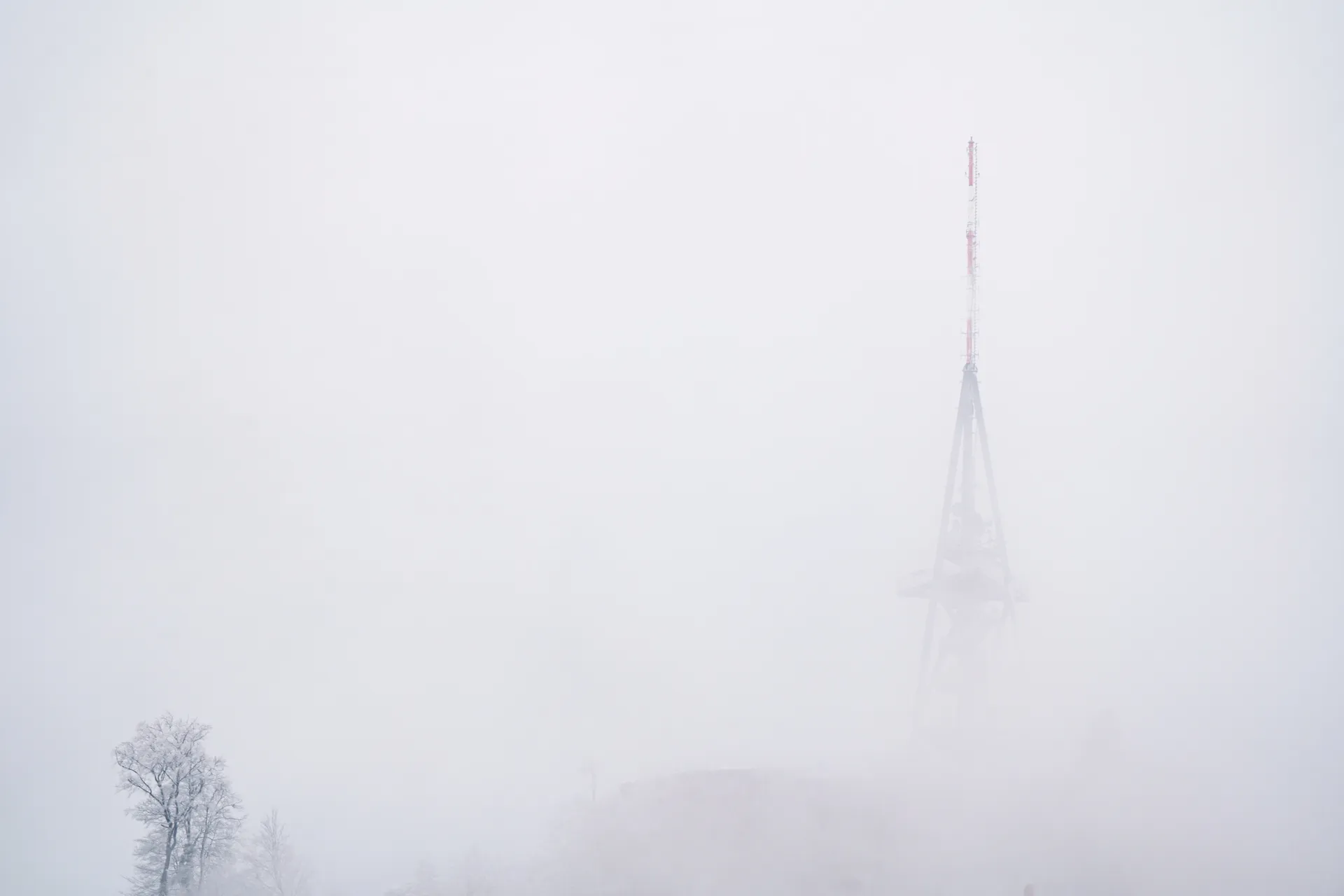 The Uetliberg observation tower rises through dense fog, with a bare winter tree silhouetted in the foreground against the misty gray sky.