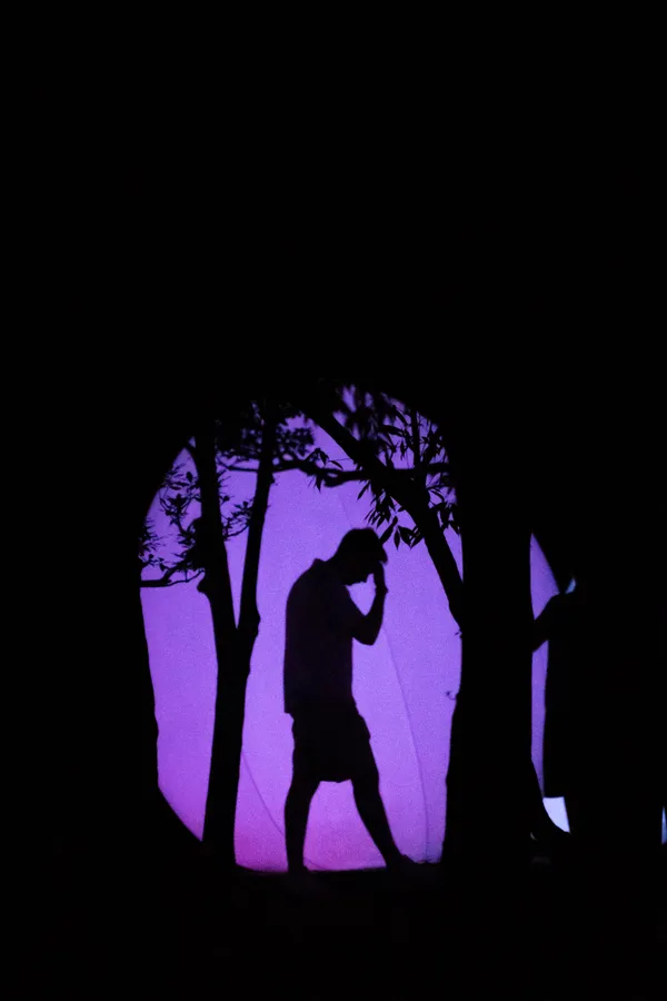 Silhouettes of trees and a figure stand against a purple light installation.