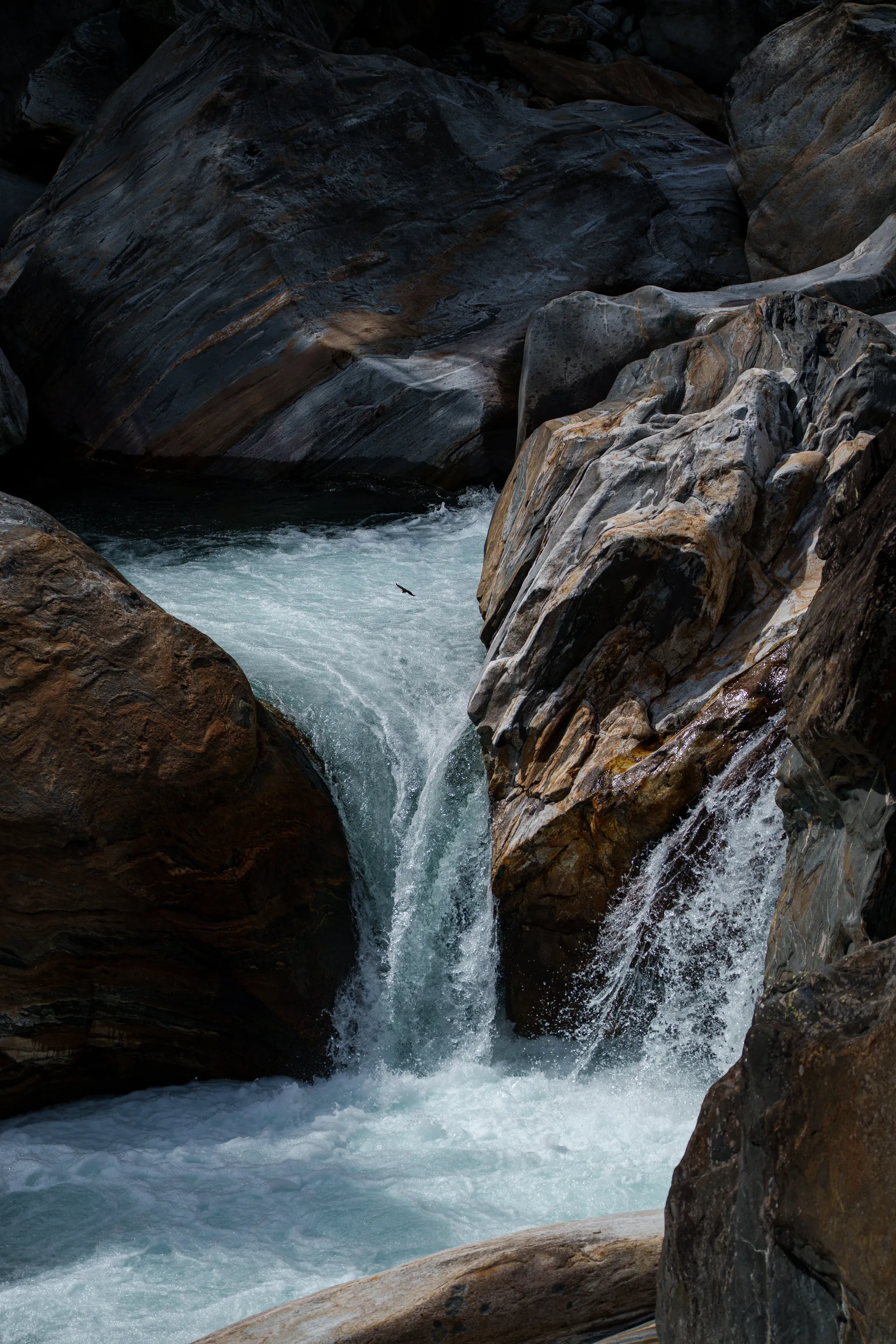 A small waterfall pours through a narrow chute of dark wet boulders as a sand martin streaks across the spray.