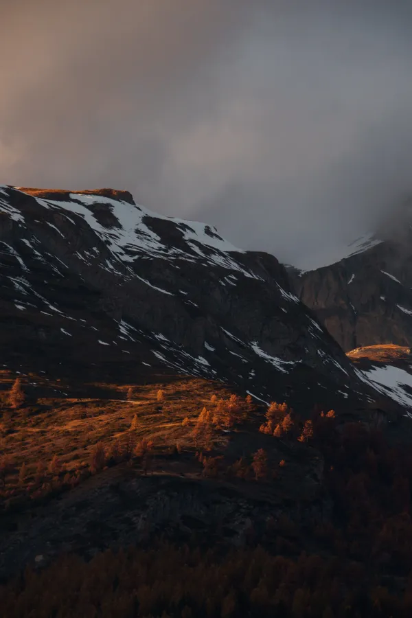 Golden larches illuminate a valley beneath snow-dusted peaks under dramatic storm clouds.