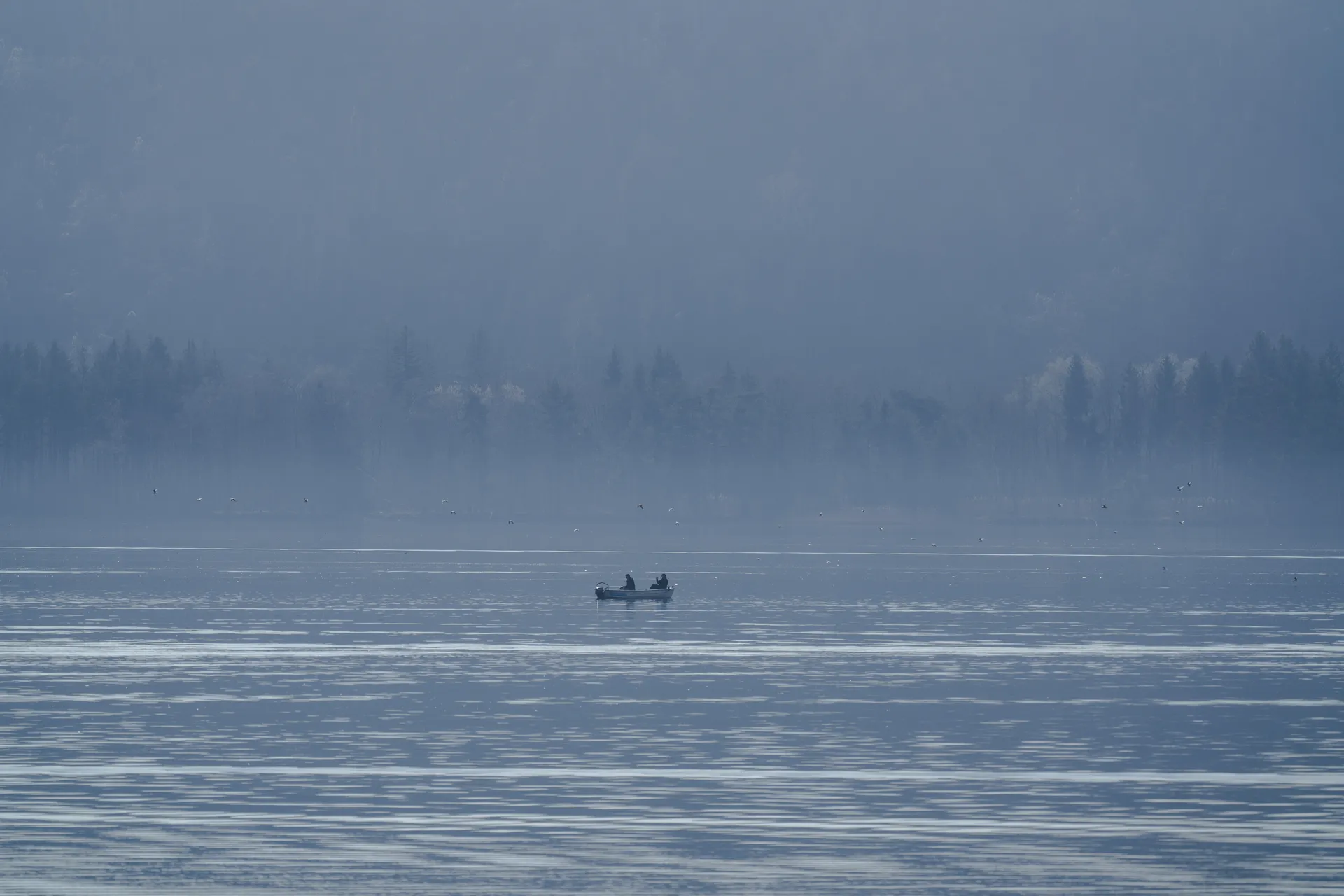 A lone fishing boat rests on a misty lake as birds cross the still morning air, movement flickering through a familiar childhood landscape.