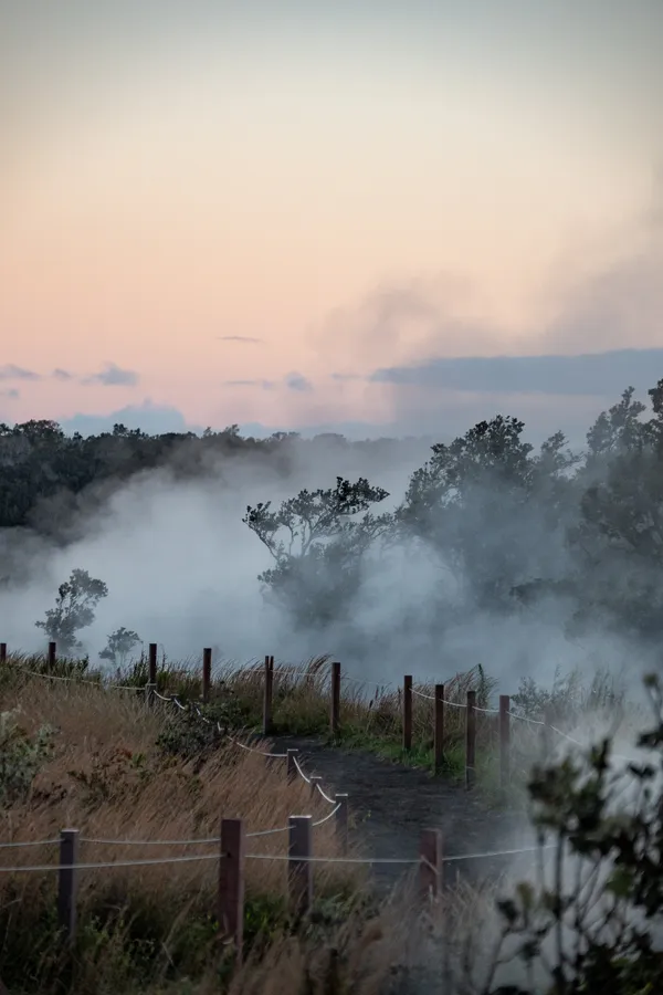 Steam rising through the trees along a volcanic trail at sunset.