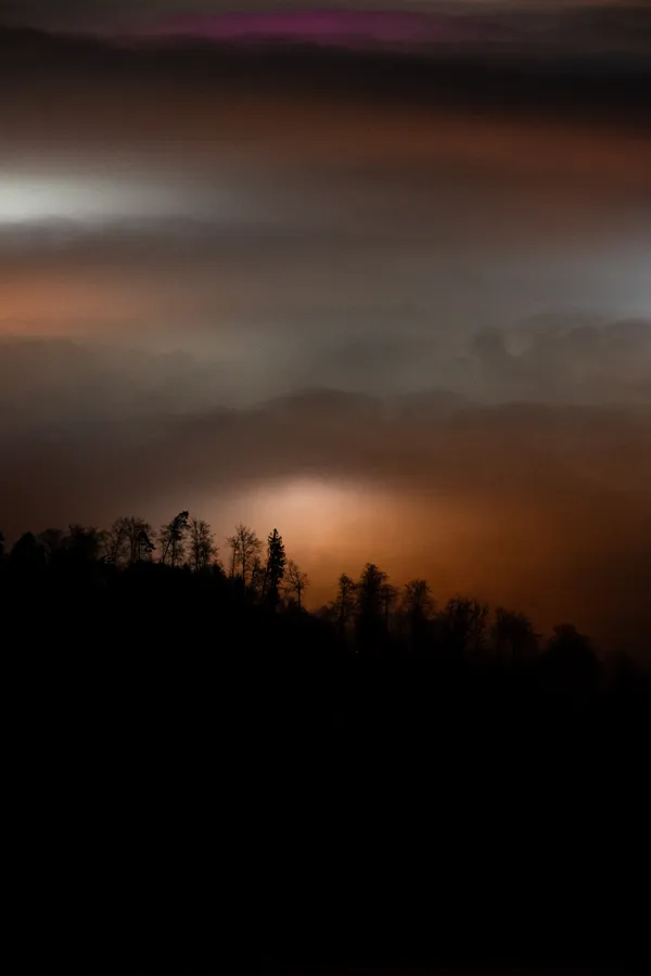 Trees stand as dark silhouettes against the moody orange and purple hues of twilight.