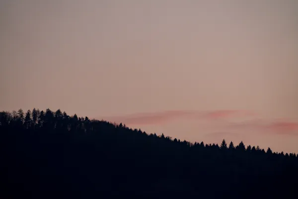 A forested hillside silhouetted against a fading pink sky at dusk.