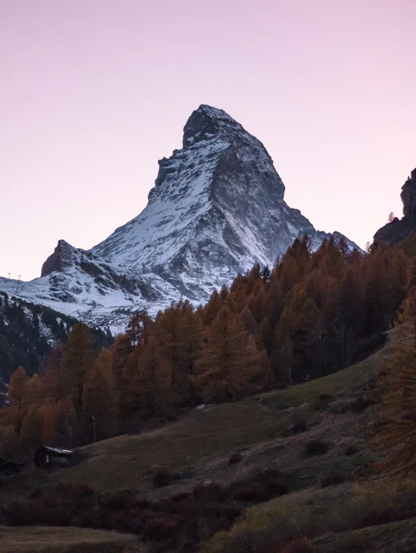 The Matterhorn rises above golden autumn larches under a soft pink dusk sky, with a small hut nestled on the green slope below.