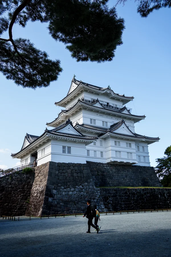 Odawara Castle keep rises in white tiered roofs above a stone foundation, framed by pine branches as two figures walk along the path below.