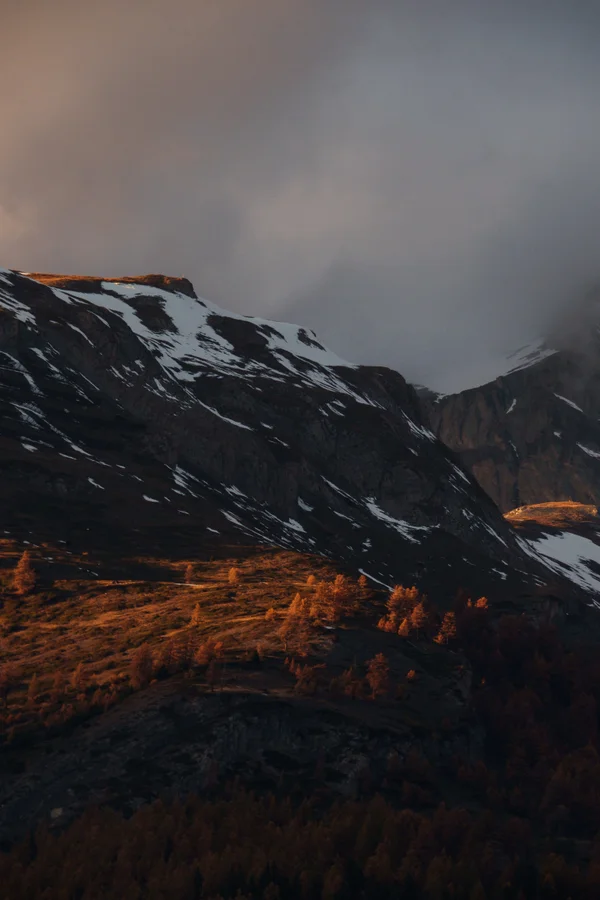 Golden larches illuminate a valley beneath snow-dusted peaks under dramatic storm clouds.