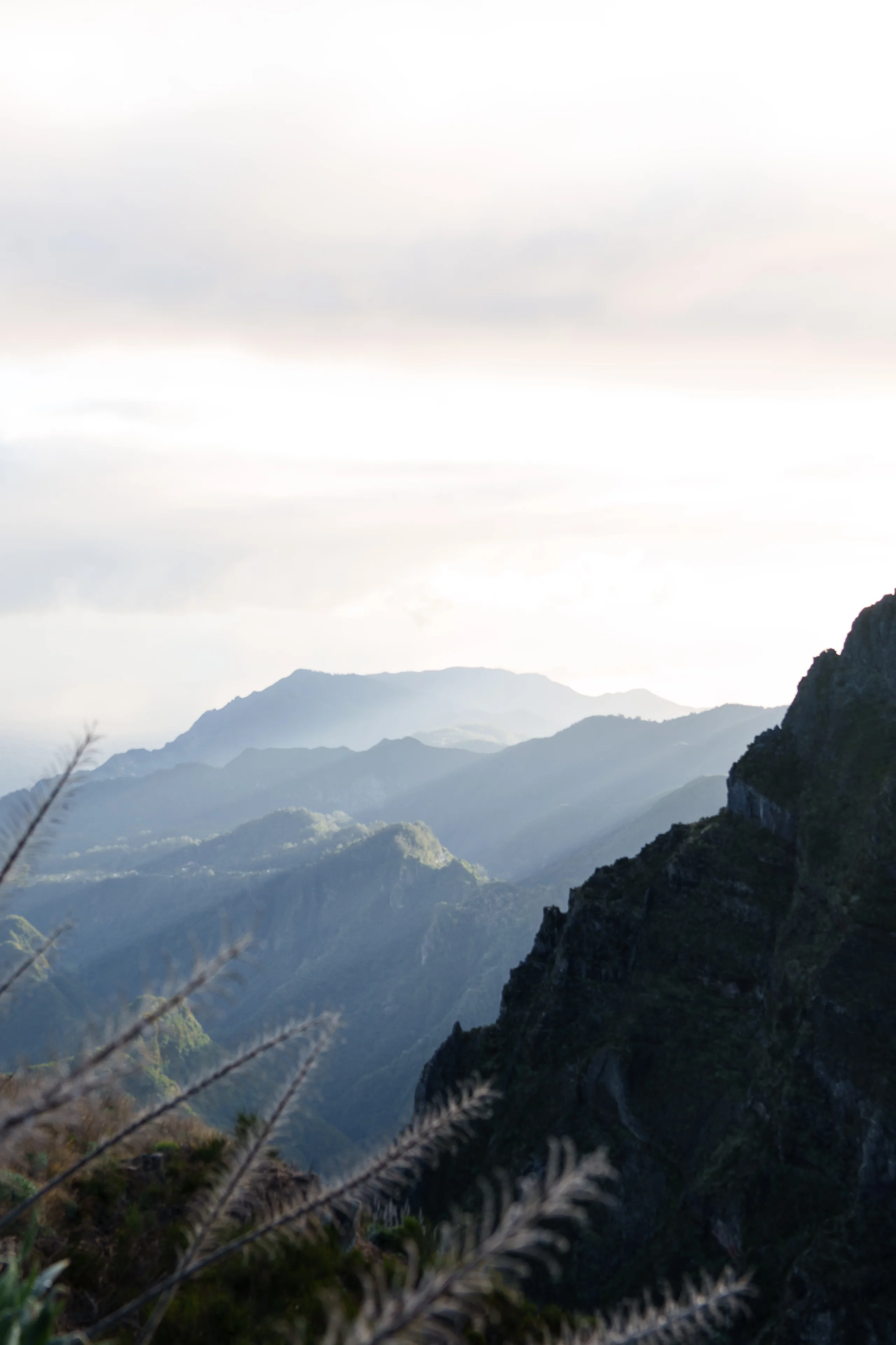 Soft sunbeams break through hazy layers of ridges, while a dark silhouetted cliff and tall sun-lit grass frame the scene in the foreground.