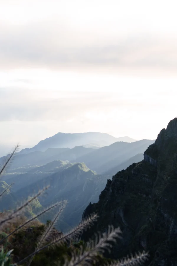 Soft sunbeams break through hazy layers of ridges, while a dark silhouetted cliff and tall sun-lit grass frame the scene in the foreground.