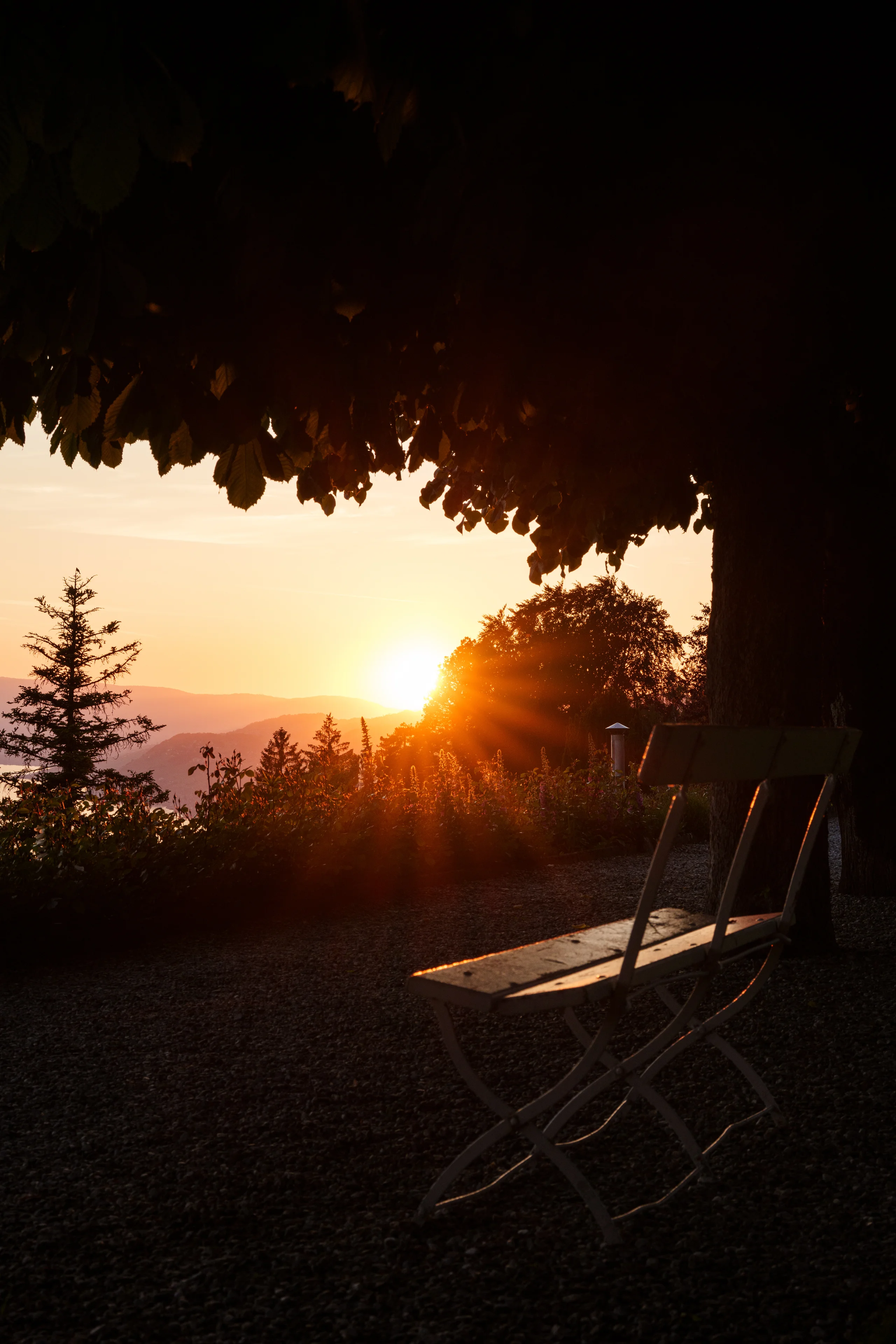 An empty wooden bench waits beneath a tree as the sun sets in a golden burst over the hills above Lake Geneva.