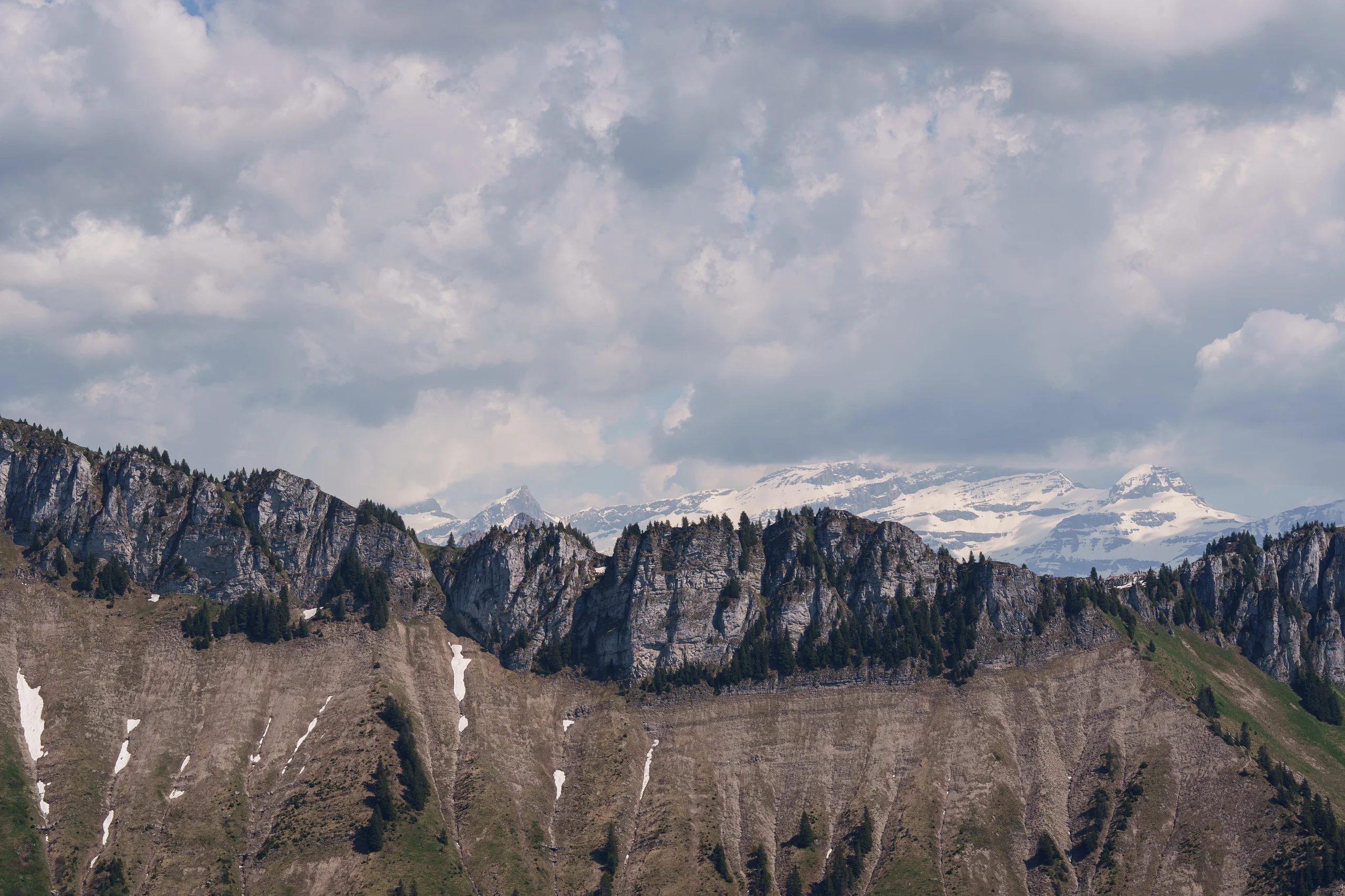 A rugged rocky ridge dotted with pines drops into a steep slope, with snow-capped peaks hazy in the distance beneath a cloudy sky.