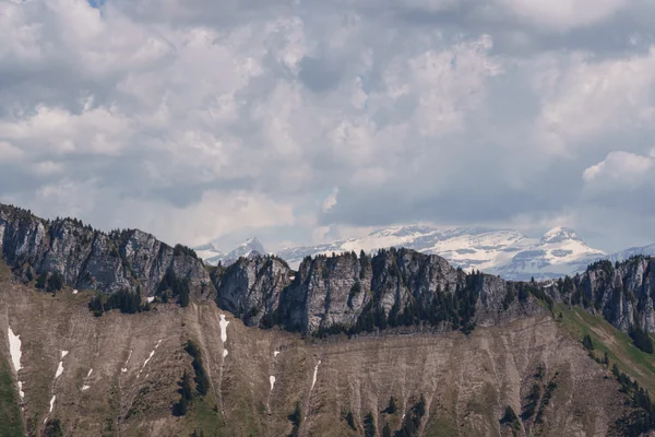A rugged rocky ridge dotted with pines drops into a steep slope, with snow-capped peaks hazy in the distance beneath a cloudy sky.