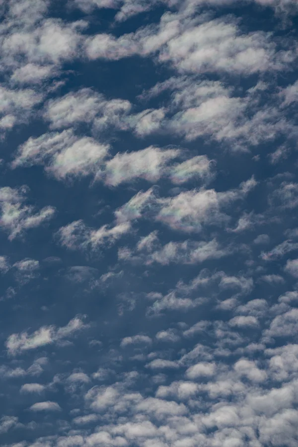 A mackerel sky scattered with countless small clouds reveals a faint iridescent patch, soft rainbow hues drifting through the white altocumulus drifts.