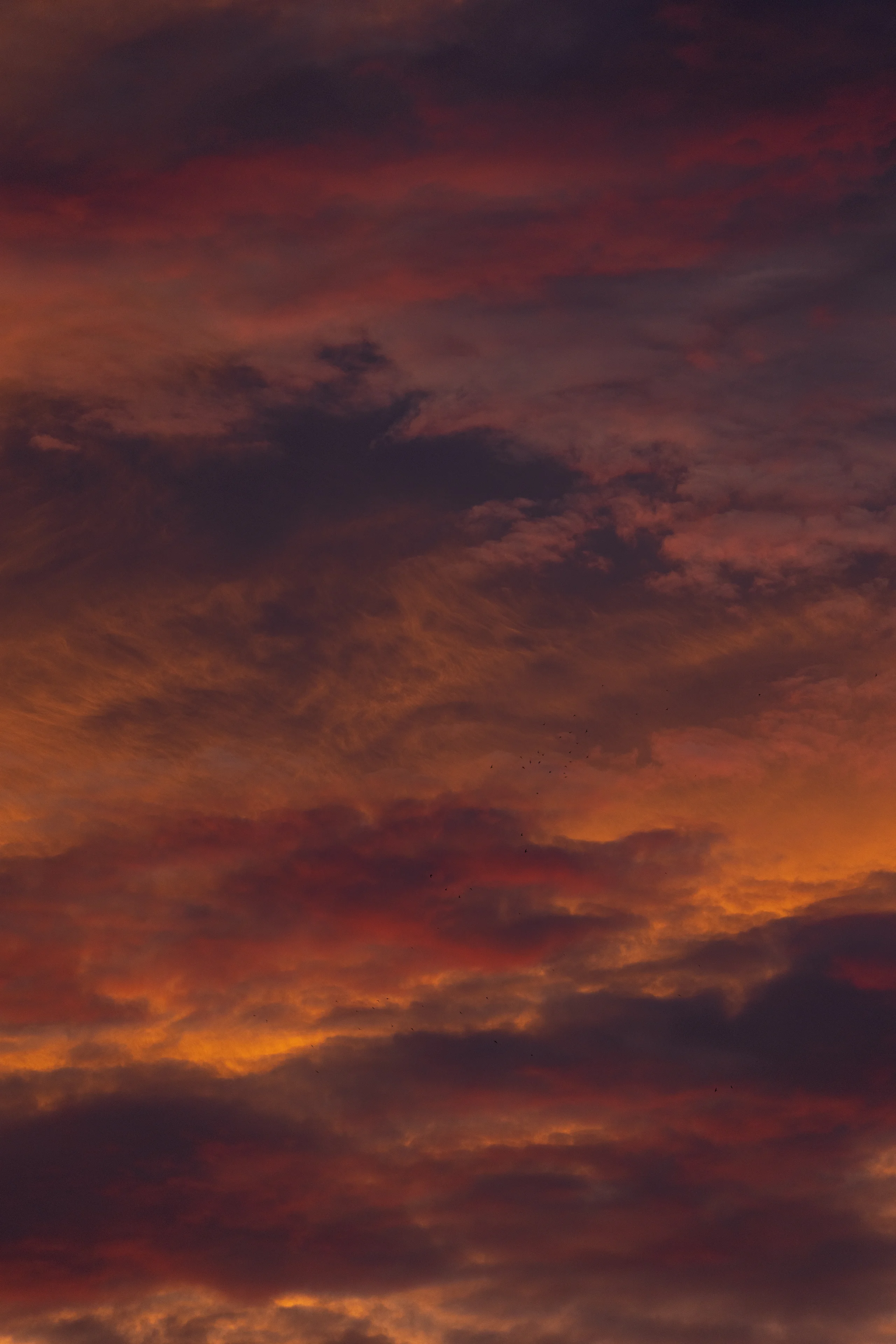Layered clouds glow orange and deep purple after sunset while a small flock of birds crosses the sky.