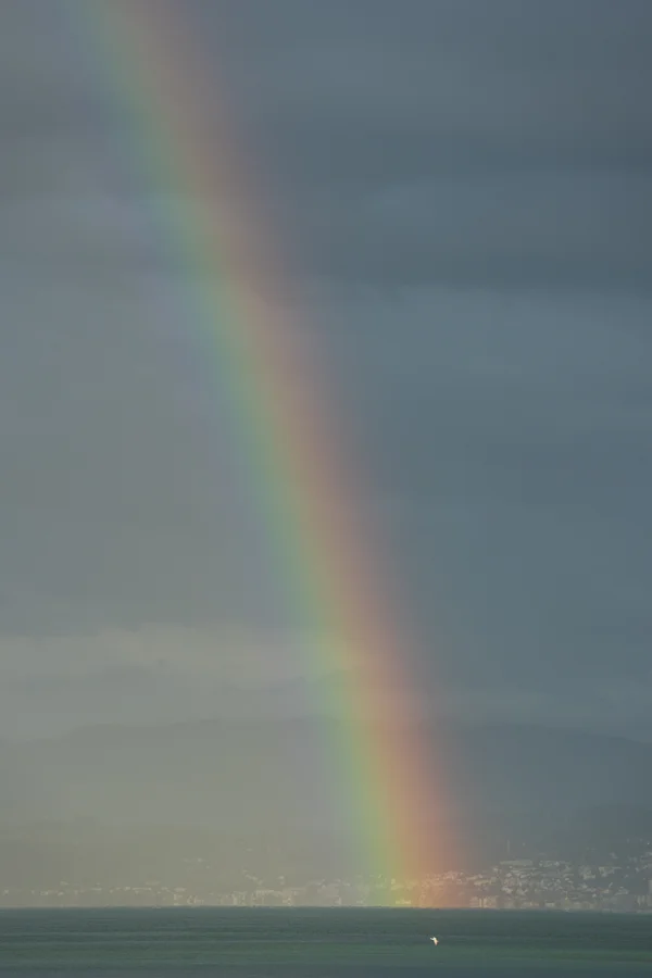A rainbow descends from a grey sky onto Lake Zurich, its base meeting the far shore as a small bird glides over the water.
